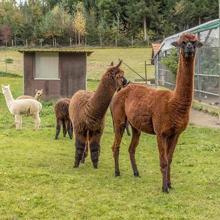 テットナングZapfs Bauernhof Stiefmuetterchenアパートメント エクステリア 写真