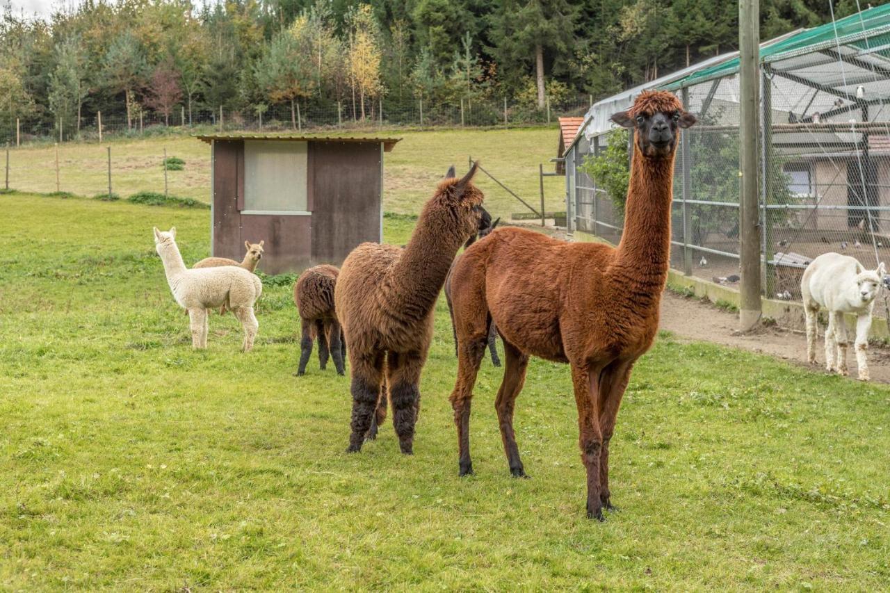 テットナングZapfs Bauernhof Stiefmuetterchenアパートメント エクステリア 写真